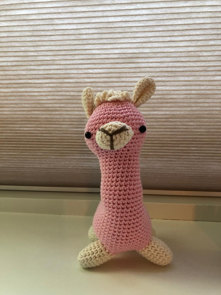 Alpaca