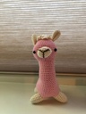Alpaca